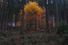 Wanderwochenende (3)