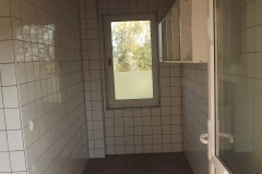 DSCF6782